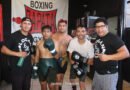 Box Profesional