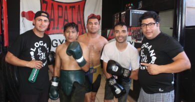 Box Profesional