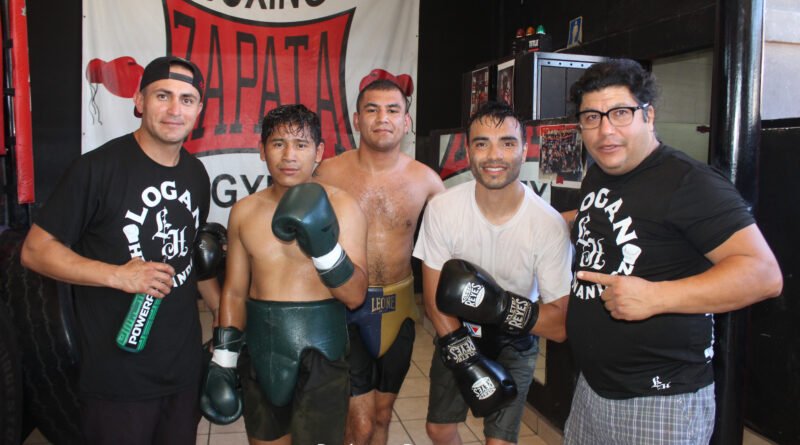 Box Profesional